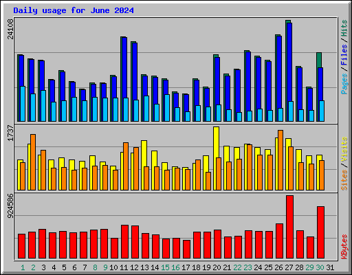 Daily usage for June 2024