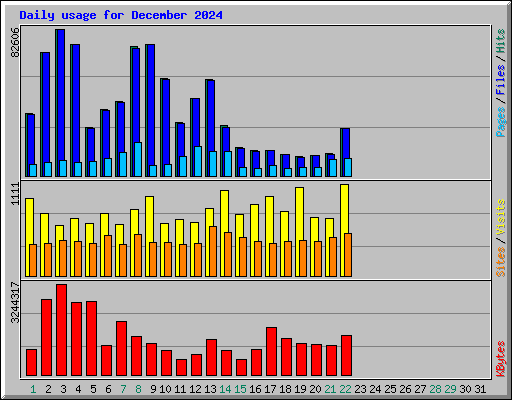 Daily usage for December 2024