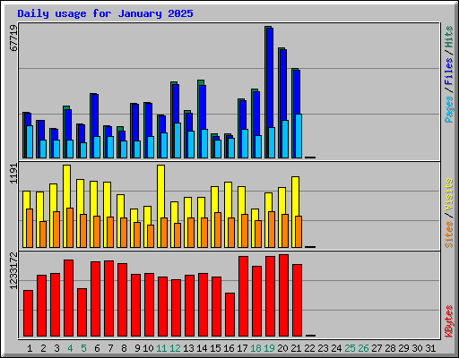 Daily usage for January 2025