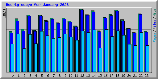 Hourly usage for January 2023