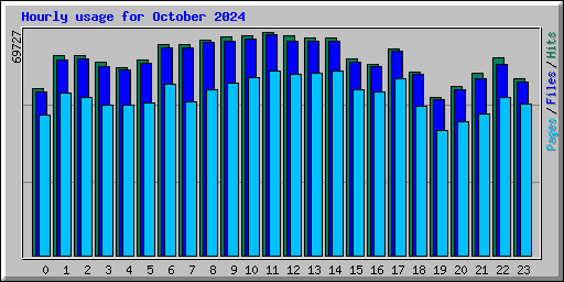 Hourly usage for October 2024