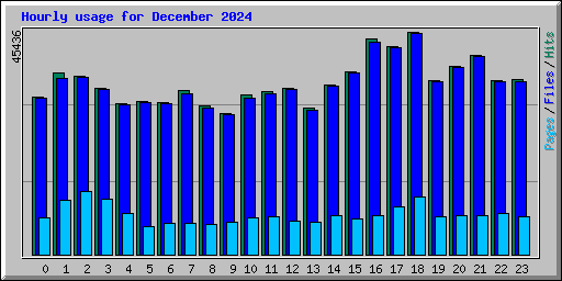 Hourly usage for December 2024