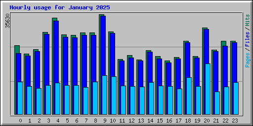 Hourly usage for January 2025