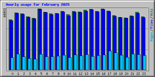 Hourly usage for February 2025