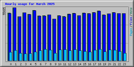 Hourly usage for March 2025