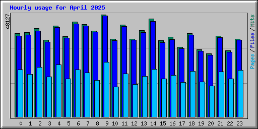 Hourly usage for April 2025