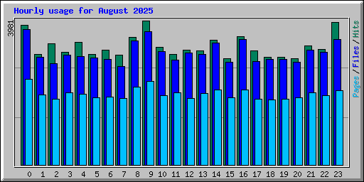 Hourly usage for August 2025
