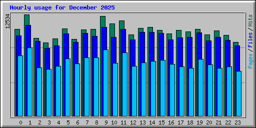 Hourly usage for December 2025