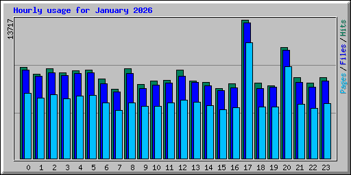 Hourly usage for January 2026