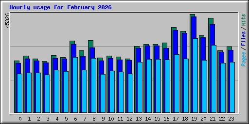Hourly usage for February 2026