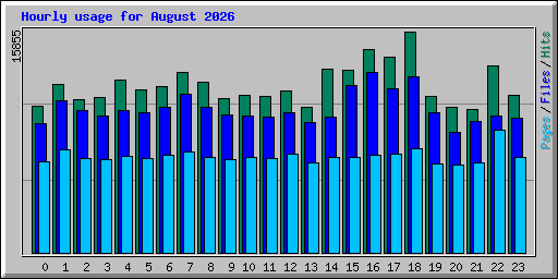 Hourly usage for August 2026